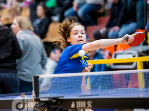 Le Tournoi de Pâques 2017 en photos